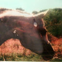 Bryony Clark - @BryonyGClark - Twitter