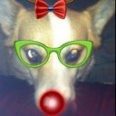 Jared Becker - @jarheef - Twitter