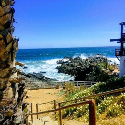 LuchitaMariaL's profile picture. Solo informandome