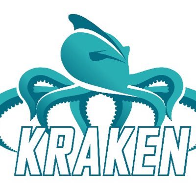 🇬🇧Brazilian team for F1 in schools! 🇧🇷Time brasileiro para F1 nas escolas! IG: teamkrakenbr FB: team kraken