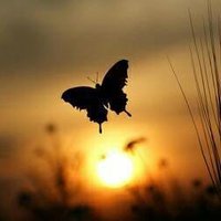 MazaYa Anggraeni (@triana73192805) 's Twitter Profile