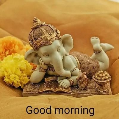 Kushagr59538331's profile picture. kushagra