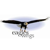 Eagles Wings Charity(@eagleswingsaid) 's Twitter Profile Photo