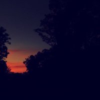 Thoughts (@thought56322158) 's Twitter Profile