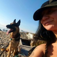 Carrie Klestoff Coldren (@ceceryder3) 's Twitter Profile