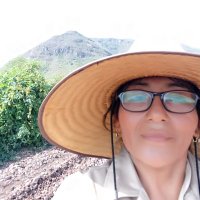 Guadalupe Ascención (@asloberri) 's Twitter Profile