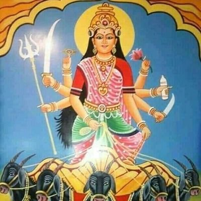 Kalpesh74893953's profile picture. 