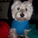 Deanna Donovan - @licensed2knit - Twitter