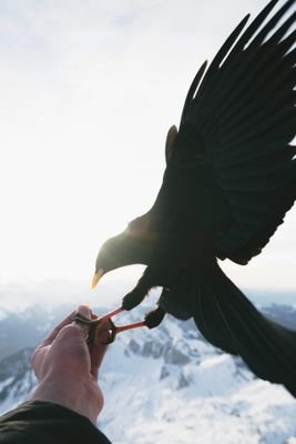 vIMWC6cHgJXsTmb's profile picture. 