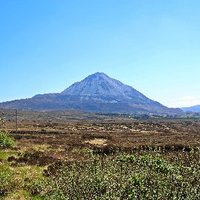 Donegal PPN (@donegalppn) 's Twitter Profile Photo Donegal PPN (@donegalppn) 's Twitter Profile Photo