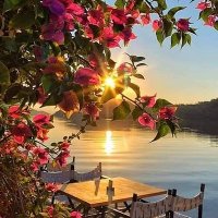 قاهره القلوب (@1qhgd8wcu1iehui) Twitter profile photo