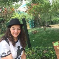 swaaly (@filedus) 's Twitter Profile