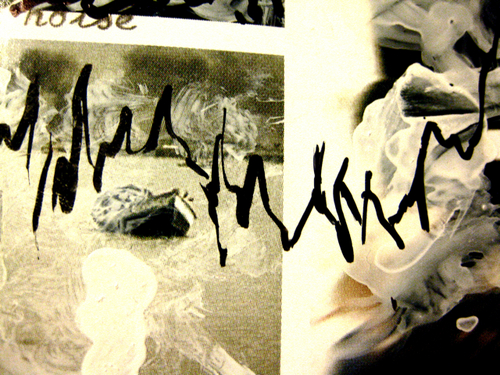 Cyclyst's profile picture. one of us