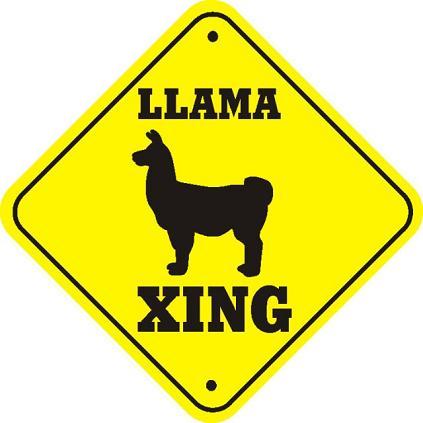 llamacrossing's profile picture. chances are, you really shouldn't care.