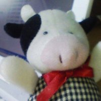 yono (@yono) 's Twitter Profile