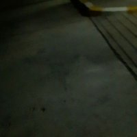 066157o88 (@066157o88) 's Twitter Profile