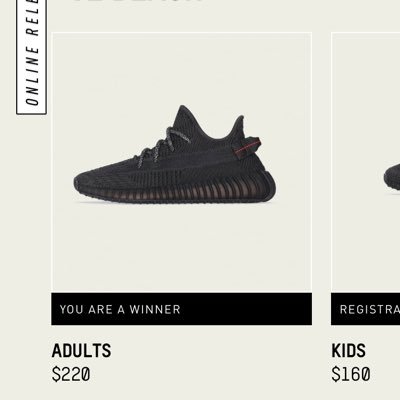 Hello, I just won the adidas drop for the yeezys 350 v2 black and I’m looking to sell them. Dm me if you are interested! The shoe is a size 11