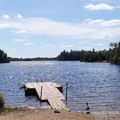 Oldaccount3138's profile picture. 