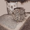 ActuallyAlethea's profile picture. Author of western historical novels