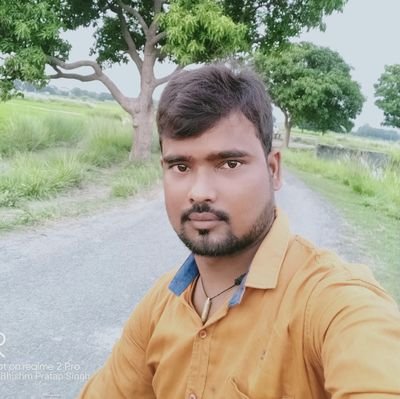 BhishmPratapS19's profile picture. Leader