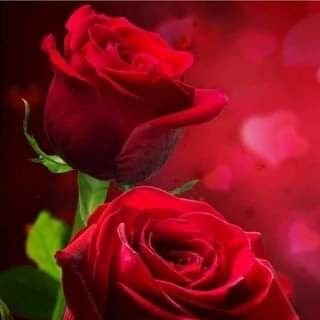 Swajeevan1's profile picture. Ayurvedic medicine and hospital