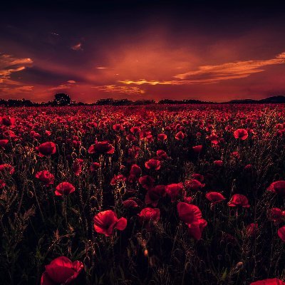 IgorPecovnik's profile picture. 