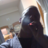 pjrushaccy's profile image