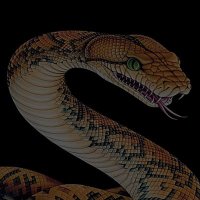 Webhostpython(@webhostpython) 's Twitter Profile Photo