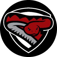 DOHS Athletics (@dohsathletics) 's Twitter Profile