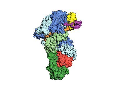 News from Scott Bailey's Lab @JohnsHopkins. We use structural and biochemical approaches to study protein nucleic acid interaction.