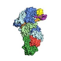 Bailey Lab (@thebaileylab) 's Twitter Profile