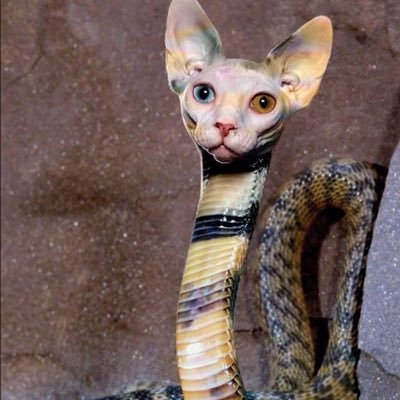 PenWomann's profile picture. The names Ninja. Don’t take most of my tweets seriously.