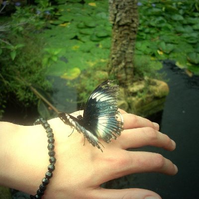 Studied Shakespeare, Arts,Eco freak, DipHE in Environment, Poet! Faithful follower, rare diseases advo,, RT n’er nec endorses.