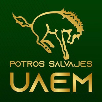 Organización de fútbol americano en la Universidad Autónoma del Estado de México