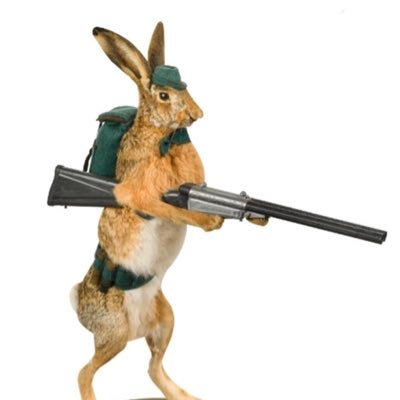 CantWhipARabbit Profile Picture