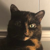 @2littlePrices (@2littleprices) 's Twitter Profile