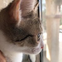 givethemhope_n (@givethemhopen) Twitter profile photo