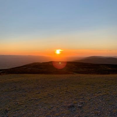 macelovatt's profile picture. 