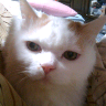 Hiropon