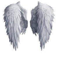 Angel Eyes (@angeley02283417) 's Twitter Profile