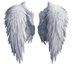 Angel Eyes (@angeley02283417) Twitter profile photo Angel Eyes (@angeley02283417) Twitter profile photo