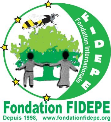 Organisation à but non lucratif. Fondation Internationale pour le Développement, l'Éducation, l'Entreprenariat et la Protection de l'Environnement (FIDEPE)
