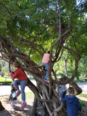 Play and Nature is a network and space for sharing the idea of children's play outside. 
