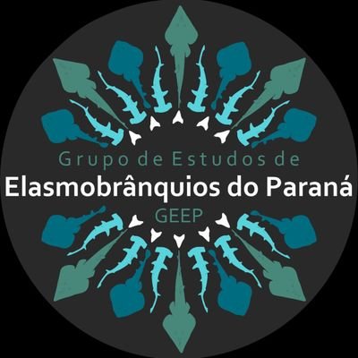 Welcome to the Elasmobranch study group!! Follow our work with sharks and rays  from Paraná, Brazil.