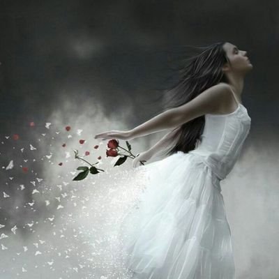 Cin_de_re_ly's profile picture. لا أحد يشبهني..مات الأربعون وانتهت القصه"