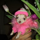 aida vasquez - @mayasonora - Twitter