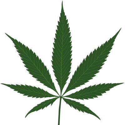 The Collective Green is a cannabis business incubator platform & trade collective focused on social equity & business development.