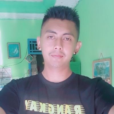 RullySanjaya11's profile picture. jomblo kece