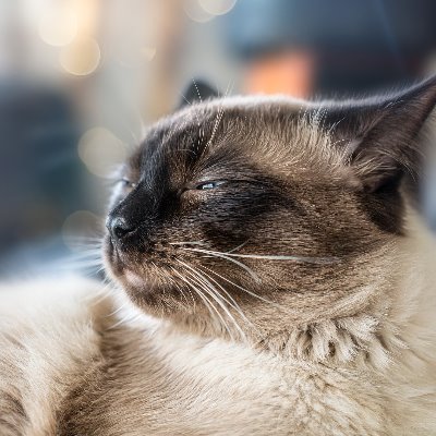 BabyYodaling's profile picture. Psychology MSc., junior researcher, applied research. 
Nur mal so ein Stichwort zur wahrscheinlich größten kognitiven Herausforderung: Ambiguitätstoleranz.