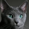 mkozde's profile picture. 